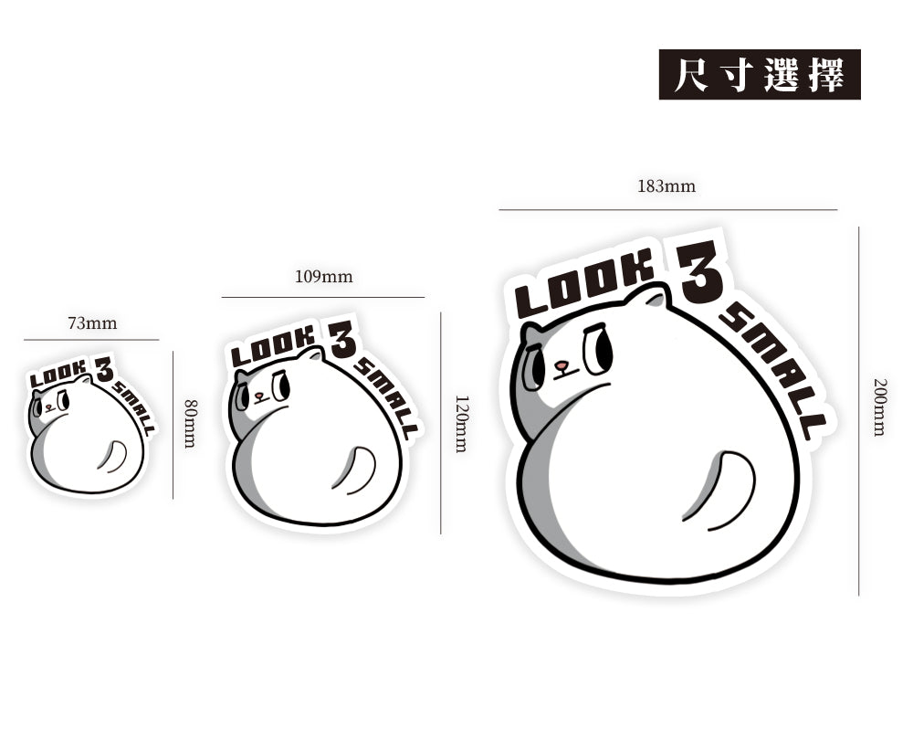 Look 3 Small/MAJI Cat/車貼、貼紙、軟磁 SunBrother孫氏兄弟