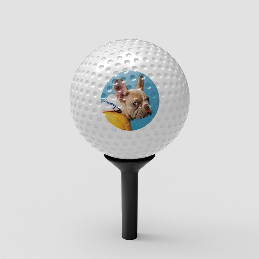 高爾夫球全彩印刷 SunBrother孫氏兄弟