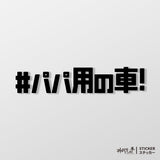 #爸爸專用車/車貼、貼紙 SunBrother孫氏兄弟