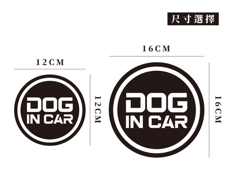 DOG IN CAR/C/車貼、貼紙 SunBrother孫氏兄弟