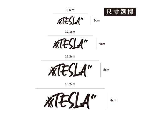 #TESLA/車貼、貼紙 SunBrother孫氏兄弟